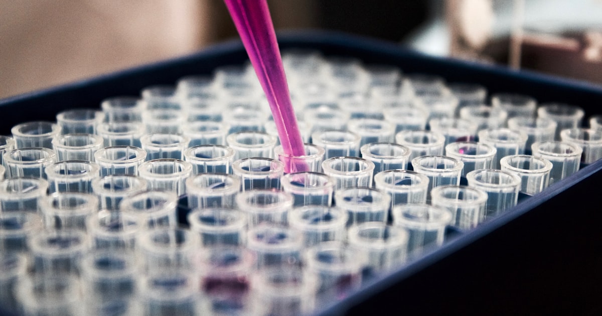 Pós-Graduação em Biomedicina: As Melhores Áreas para se Especializar