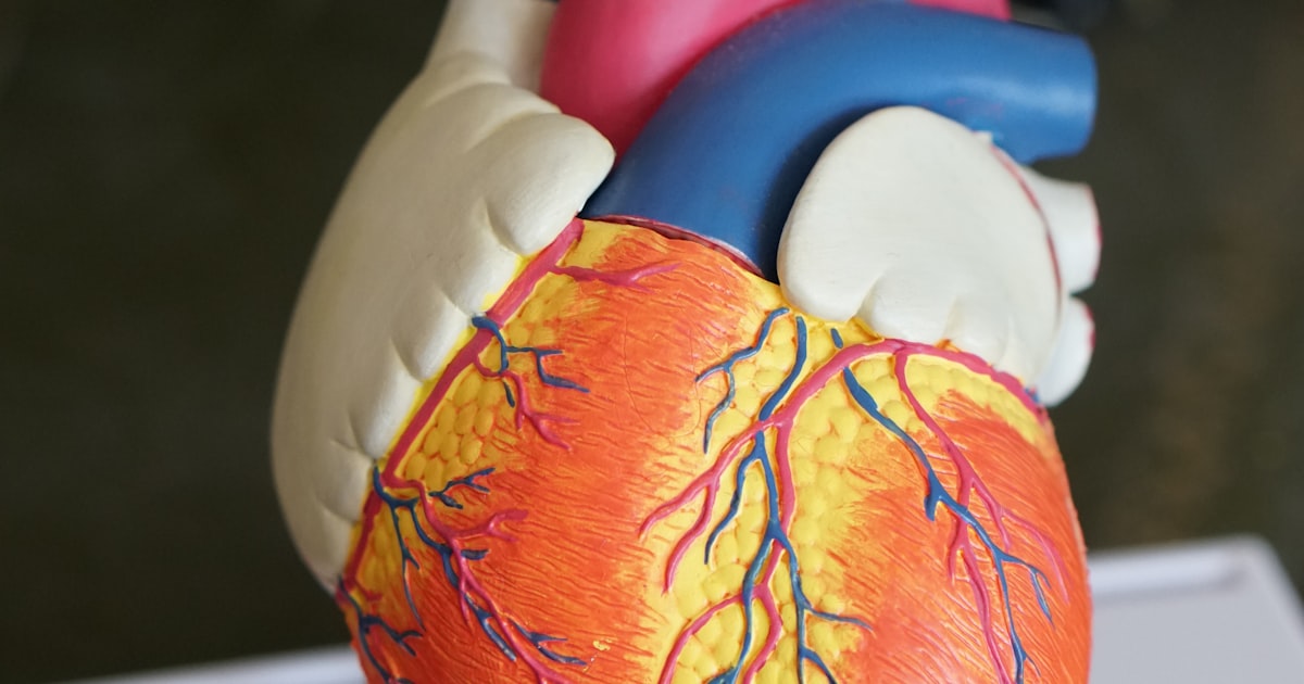 Microbiologia Clínica: Bactérias, Vírus e o Diagnóstico Laboratorial